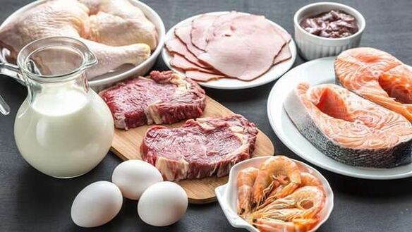 pros and cons of protein diet