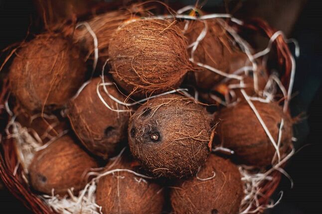coconut and coconut oil for the ketogenic diet